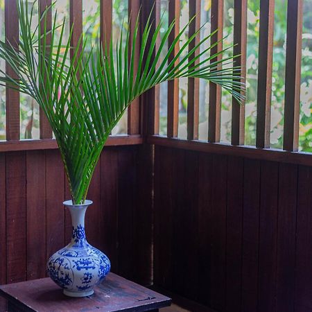 Puri Mango Guest House Sanur Ngoại thất bức ảnh