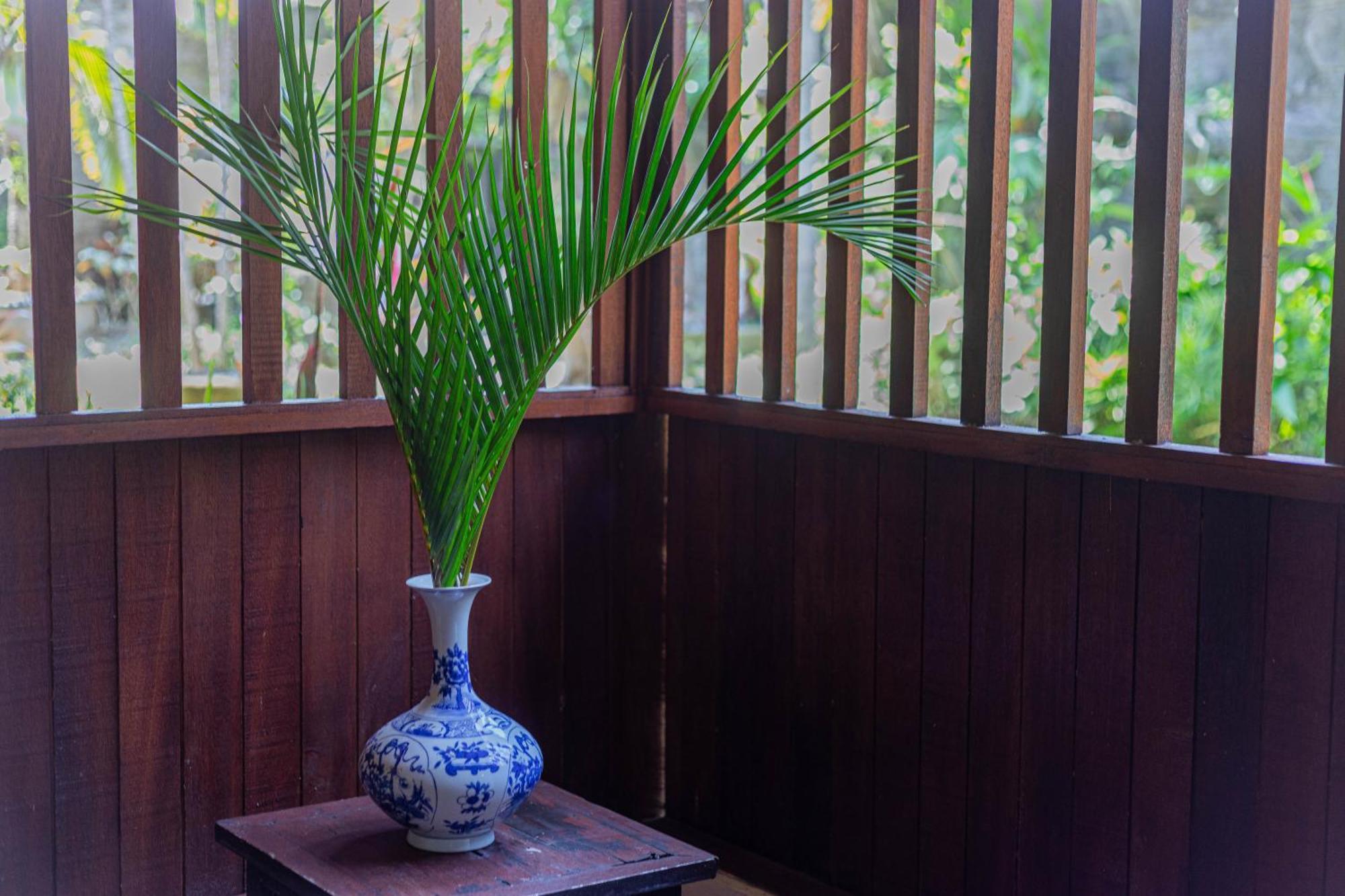 Puri Mango Guest House Sanur Ngoại thất bức ảnh